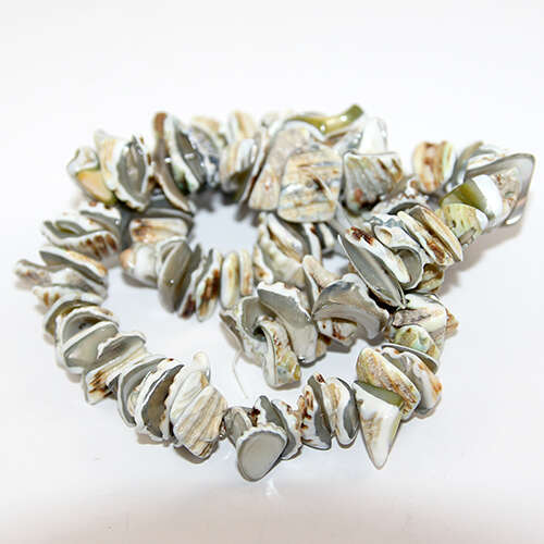 Dyed Nugget Shell Beads - 38cm Strand - Grey
