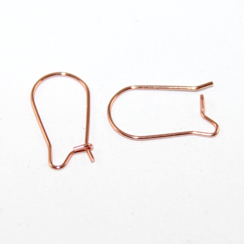 20mm Kidney Ear Wire - Pair - 304 Stainless Steel - Rose Gold - Pack of 5 Pairs