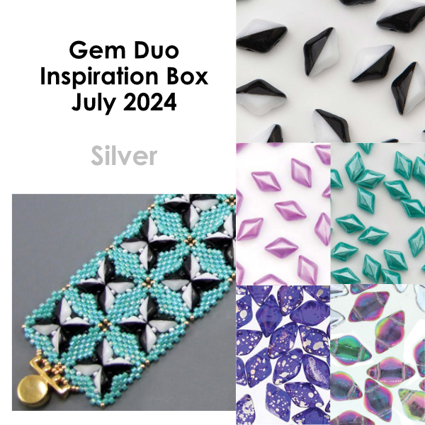 Silver - Gem Duo Box