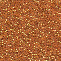 Miyuki 11/0 Rocaille Bead - 11-94F - Matte Silver Lined Dark Gold