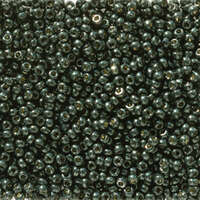 Miyuki 11/0 Rocaille Bead - 11-95107 - Duracoat Galvanized Black Moss