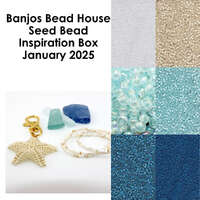 Seed Bead Inspiration Box – January 2025