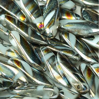 5mm x 16mm Dagger Bead - Alabaster Marea Stripes - 02010-2800V