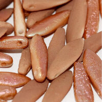 5mm x 16mm Dagger Bead - Chalk White Etched Apricot Medium Full - 03000-29183