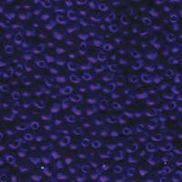 Miyuki 3.4mm Drop Bead - DP-9151F - Matte Transparent Cobalt