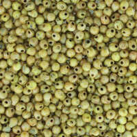 Miyuki 3.4mm Drop Bead - DP-94512 - Matte Picasso Canary Yellow