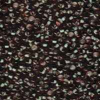 Miyuki 3.4mm Drop Bead - DP-9F33 - Mint Green Lined Smoky Amethyst