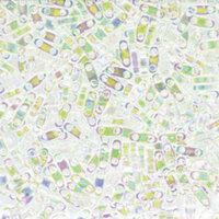 Miyuki Quarter Tila Bead - QTL250 - Transparent Crystal AB