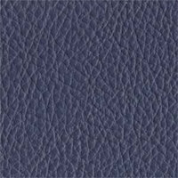 Faux Leather - Iris - SCL022