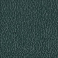 Faux Leather - Orchard - SCL028