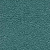 Faux Leather - Bayou - SCL101