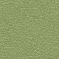 Faux Leather - Scallion - SCL113