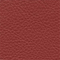 Faux Leather - Tandor - SCL114