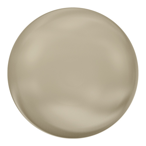 5860 - 14mm - Crystal Platinum Pearl (001 459) - Coin Crystal Pearl