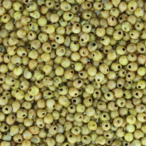 Miyuki 3.4mm Drop Bead - DP-94512 - Matte Picasso Canary Yellow - 250gm Bag