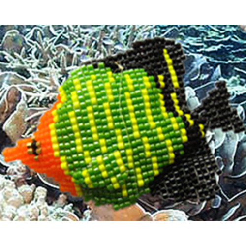 Charm - Fish