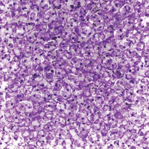 Mini Duo 2mm x 4mm - DU0400030-44829 - Crystal Dark Violet