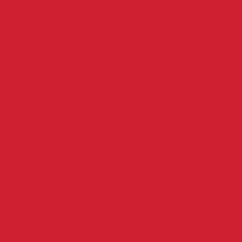Pinata Color - JAC007 - Santa Fe Red