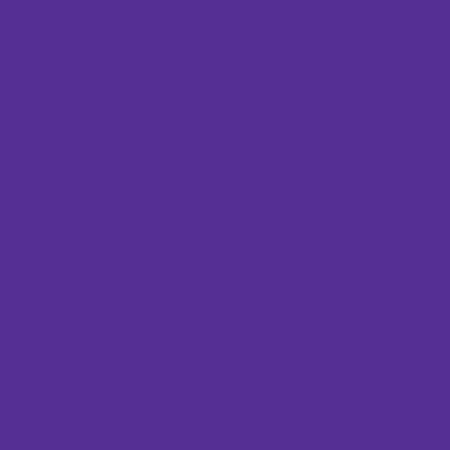 Pinata Color - JAC013 - Passion Purple