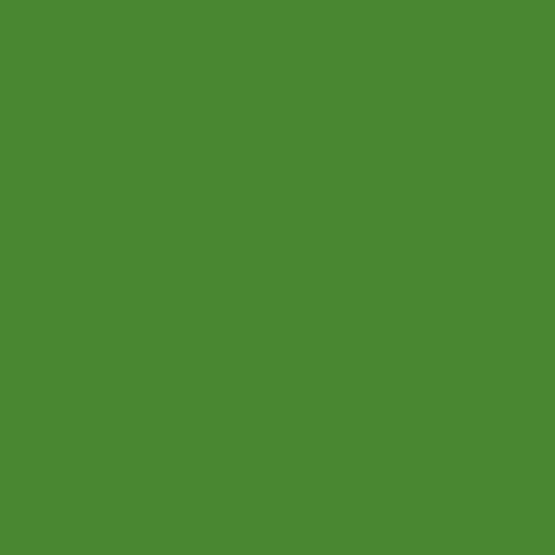 Pin_ata Color - JAC021 - Lime Green
