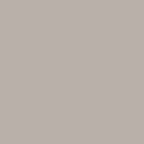 Pinata Color - JAC029 - Shadow Grey