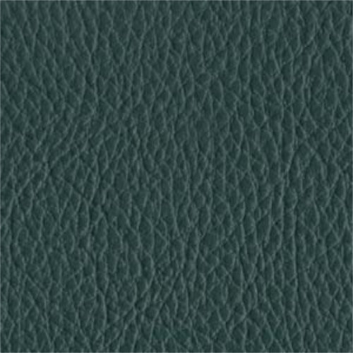 Faux Leather - Orchard - SCL028